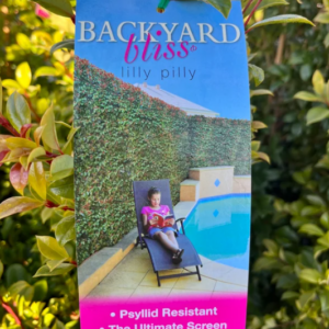 * SYZYGIUM ‘Backyard Bliss' (Lilly Pilly)