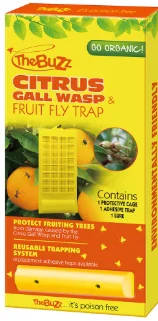 THE BUZZ CITRUS GALL WASP & FRUIT FLY TRAP