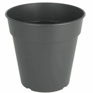 MADAGASCAR POT & SAUCER (PLASTIC)