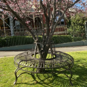 TREE Surround with Bench Varieties