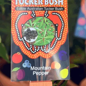 TUCKER BUSH 'Mountain Pepper'