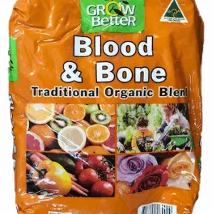 BLOOD & BONE