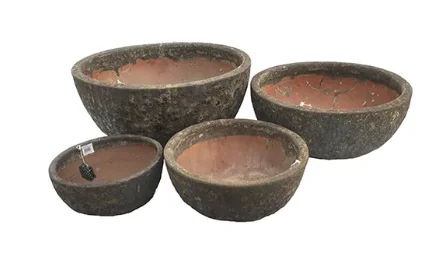 Fossil Portsea Bowl