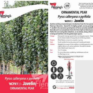 PYRUS 'Javelin' (NCPX1)