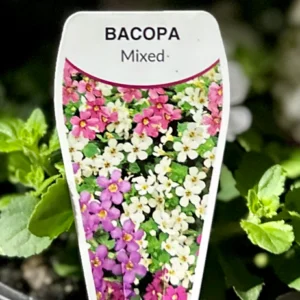 BACOPA Varieties
